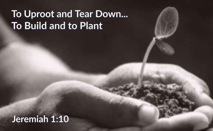 To Uproot and Tear Down…To Build and to Plant (Jeremiah 1:10 ...